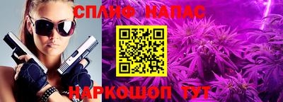 прущие крисы Кандалакша