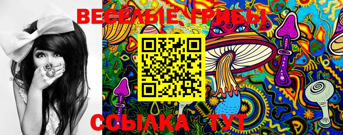 Псилоцибиновые грибы прущие грибы Кубинка